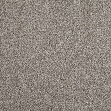 Primo Choice Elm