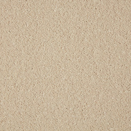 Primo Grande Ceramic