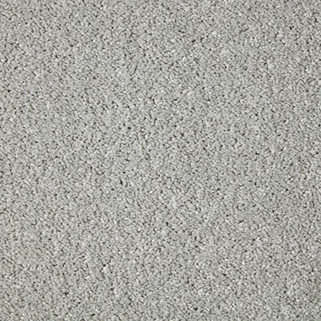 Primo Grande Moorland Frost