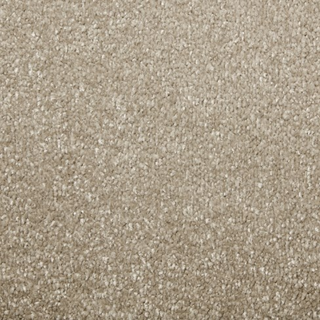 Apollo Comfort Coyote