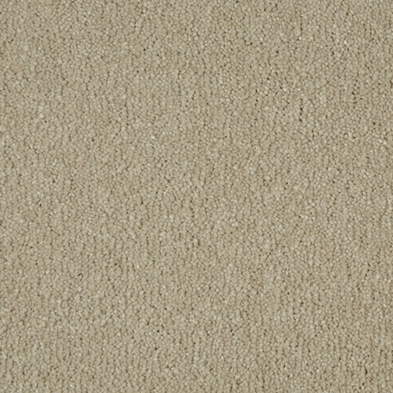 Sensation Cambrian Stone