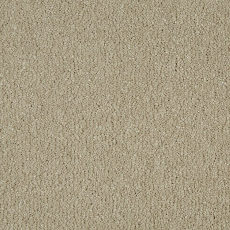 Sensation Cambrian Stone