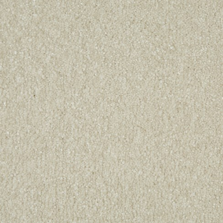 Sensation Soft Orchid
