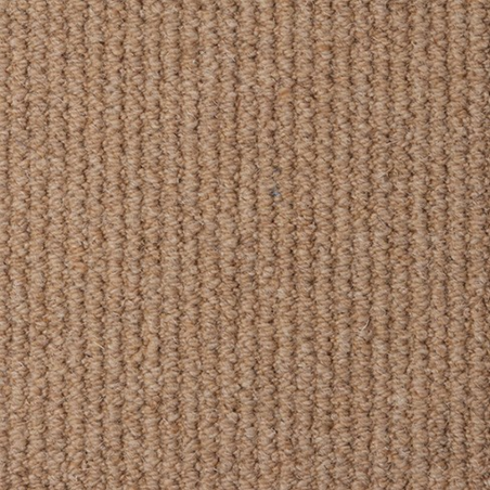 Malabar Two Fold Dune