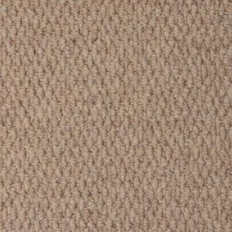 Malabar Two Fold Llama