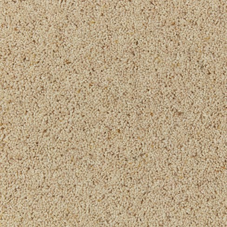 Natural Berber Twist Coconut