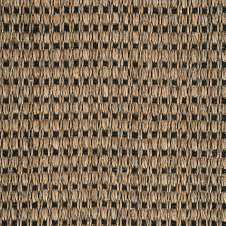 Panama N Champagne Black