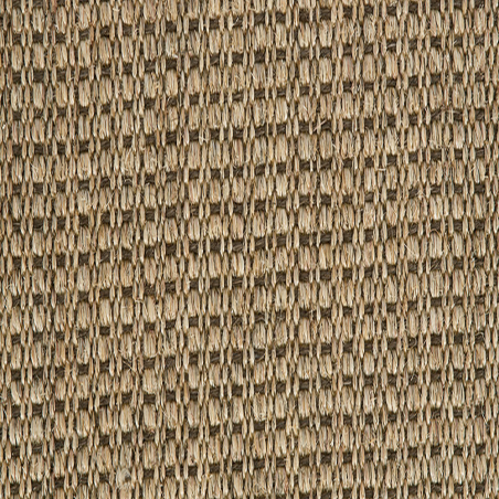 Panama N Champagne Brown