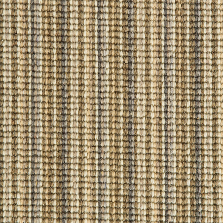 Mississippi Sand Willow