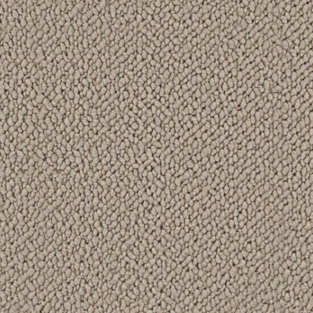 Snug Soft Sands