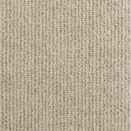 Forest Pale Birch