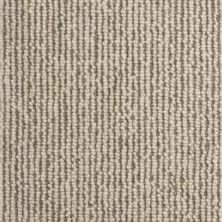 Forest Willow