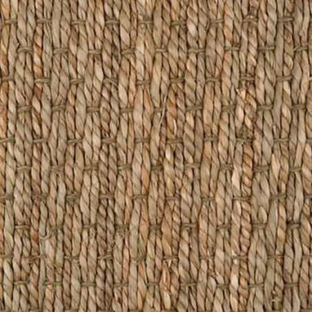 Seagrass Panama