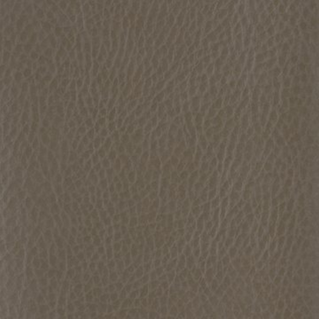 Faux Leather Borders Earth