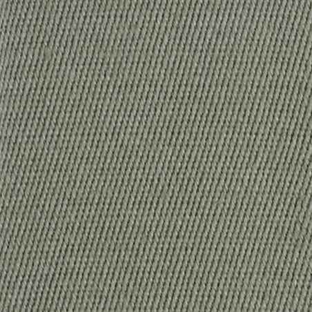 Linen Borders Lichen