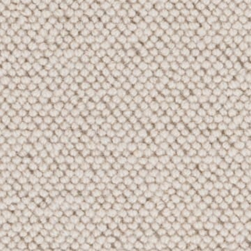 Delphine Seashell