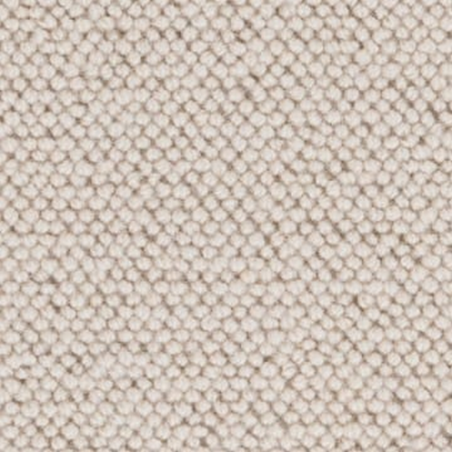 Delphine Seashell