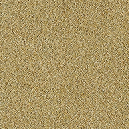 Venetian Marble