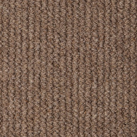 Koala Malabar Two Fold