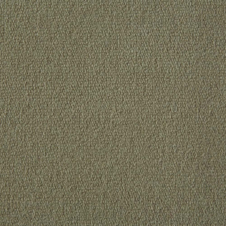 Canvas Exquisite Velvet