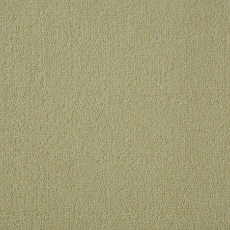 Vanilla Exquisite Velvet