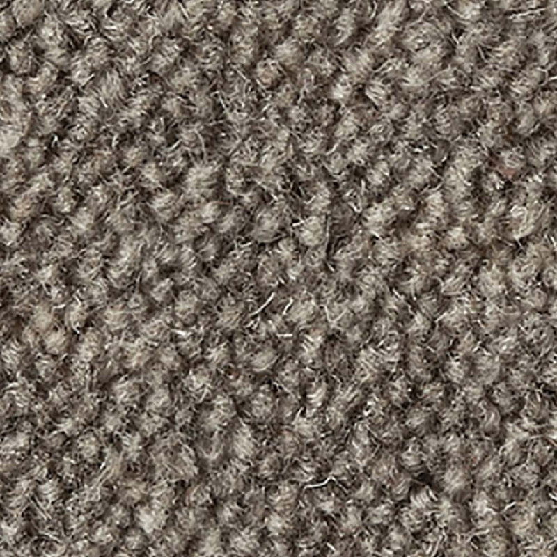 Chestnut Ultima Twist