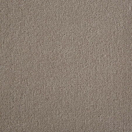 Clay Westend Velvet