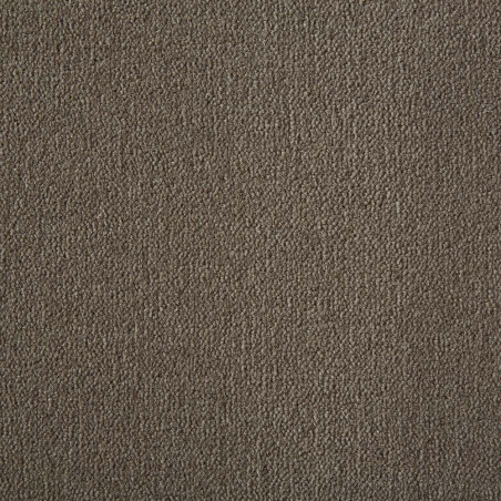Praline Westend Velvet